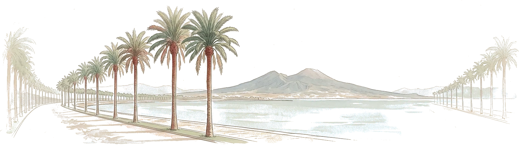 Illustrazione ad acquerello del lungomare di Reggio Calabria, con le palme in fila e il vulcano oltre lo Stretto.